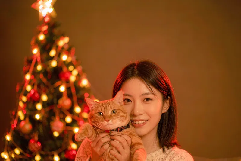Holiday Card style — AI-generated sample of a woman with her ginger cat